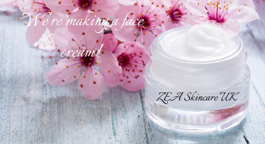 Let's make a beauty cream (emulsion)! - part II